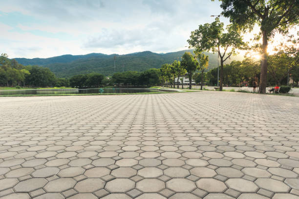Best Custom Driveway Pavers  in Dover Base Housing, DE